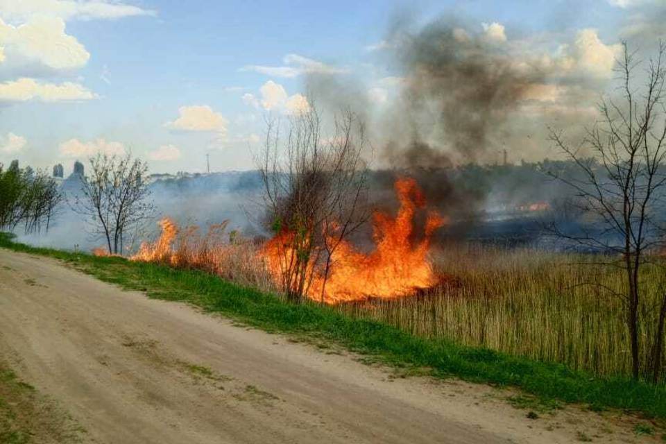 Сообщается о поджоге на севере Волгоградской области