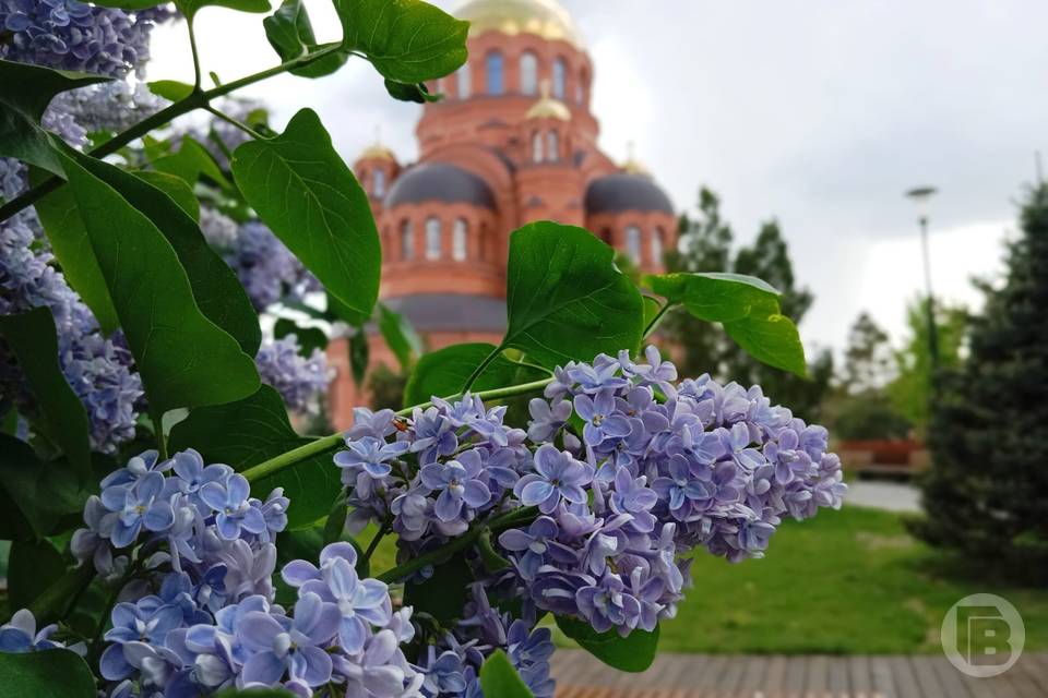 Красоту предпраздничного Волгограда запечатлели на фото