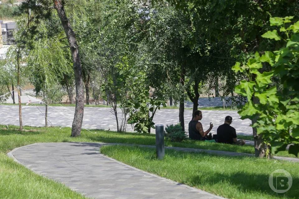 Какой будет погода в Волгограде 4 мая, рассказали синоптики
