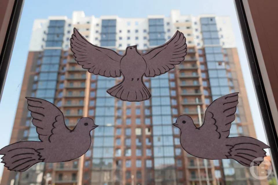 Волгоградцы сделают бумажных голубей - символ мира