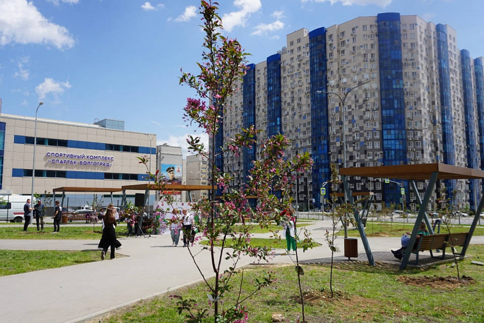 В Волгограде на Семи Ветрах высадили 80 деревьев в честь юбилея Победы