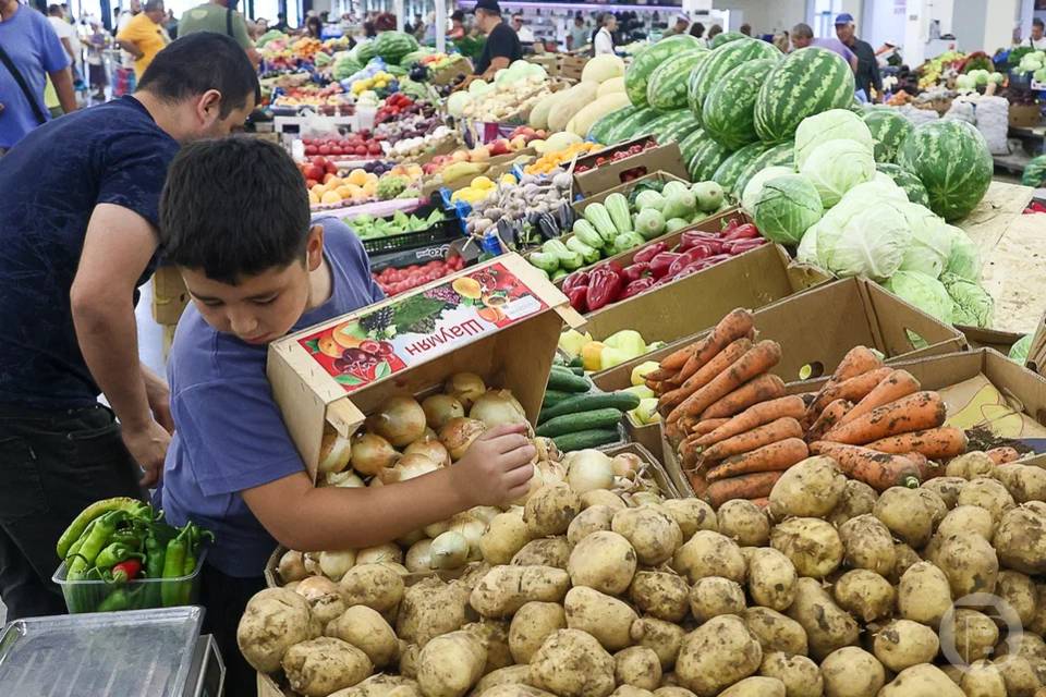 Волгоградцам пообещали, что в июне картофель станет дешевле