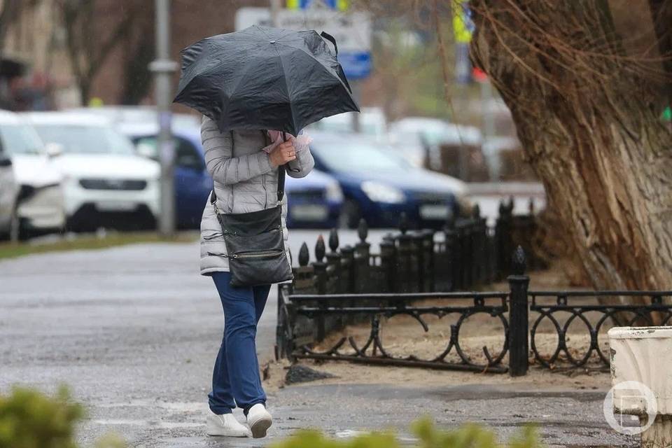 Дожди и грозы ждут волгоградцев в первый выходной 8 мая