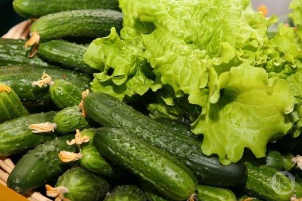 Огурцы в Волгограде подешевели на 10%, а лук снова дорожает