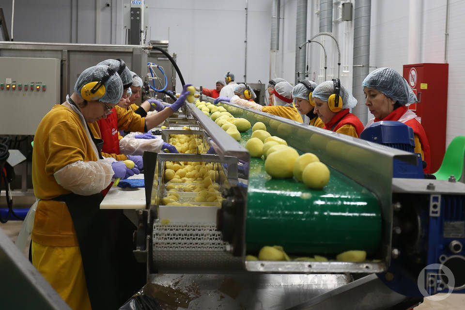 В Волгоградской области выросло производство пищевых продуктов
