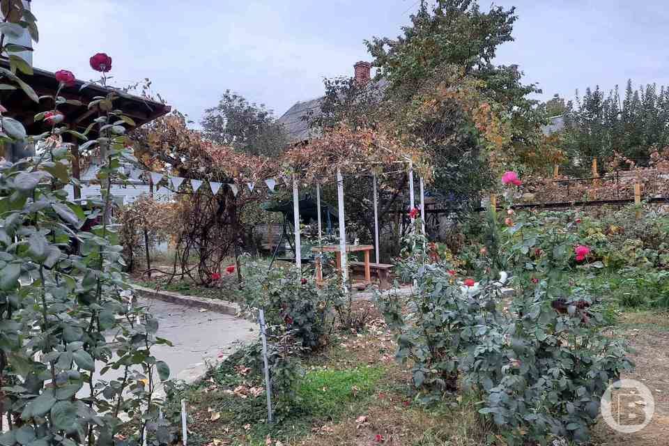 Волгоградцев будут штрафовать за сжигание мусора на дачах