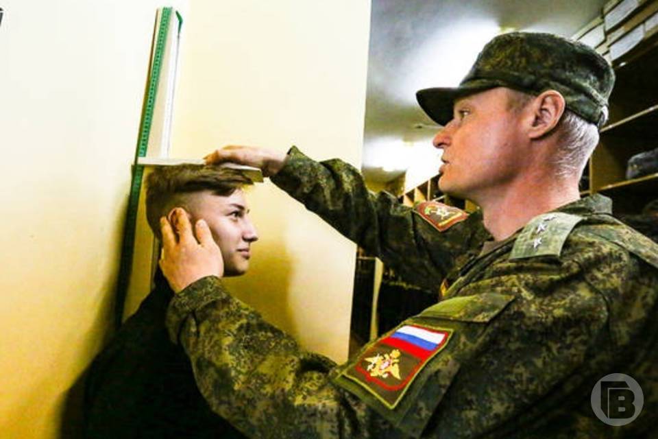 Только после армии? Волгоградцы высказались о допуске к госслужбе