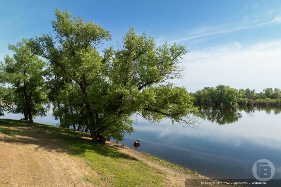 Волгоградцам показали красоты острова Сарпинского с высоты птичьего полета