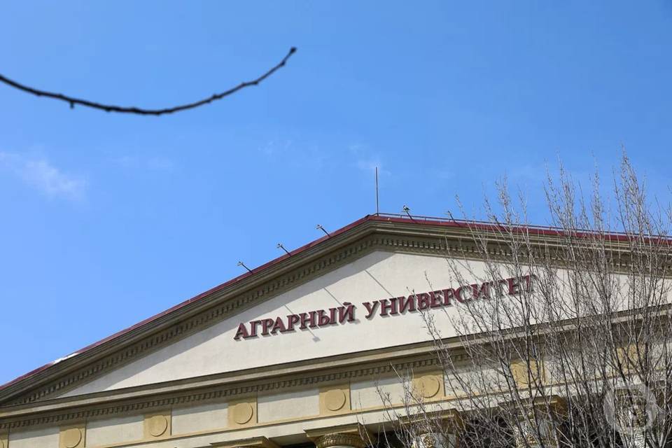 В Волгоградской области формируют кадровый потенциал для АПК