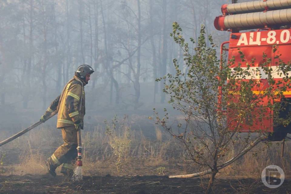 На юге Волгограда полыхает степь рядом с трассой