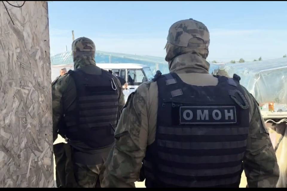 Волгоградцы обсуждают результаты масштабного миграционного рейда