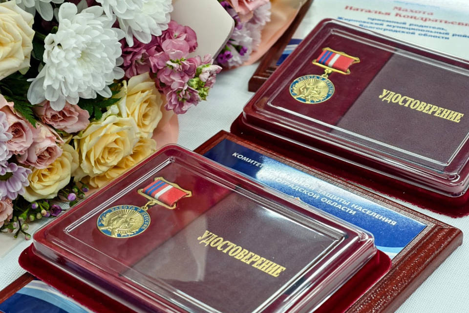 10 волгоградцев награждены почетным знаком губернатора «Забота о детстве»
