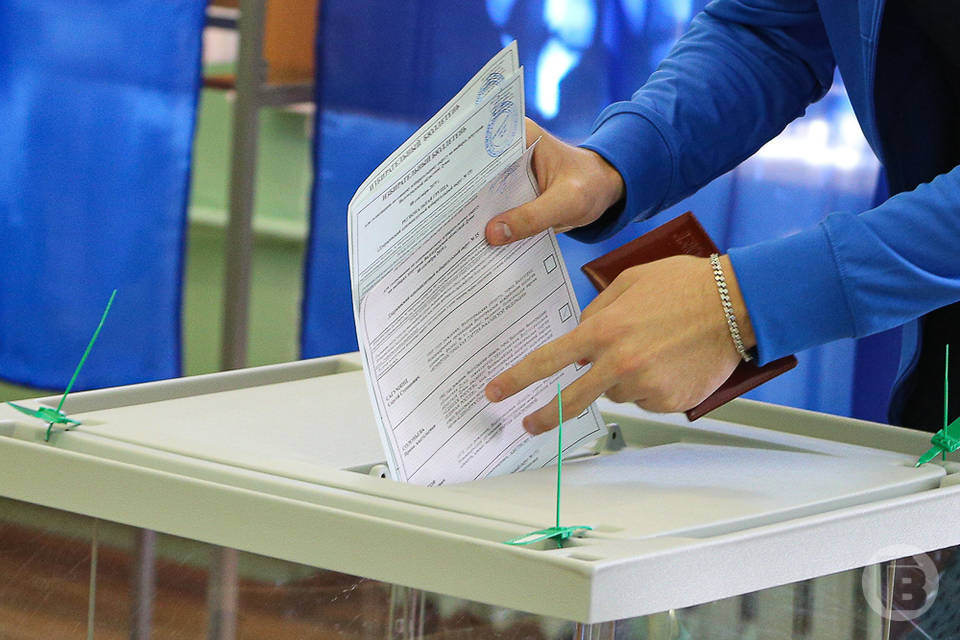 В Волгоградской области могут изменить закон о выборах и референдумах