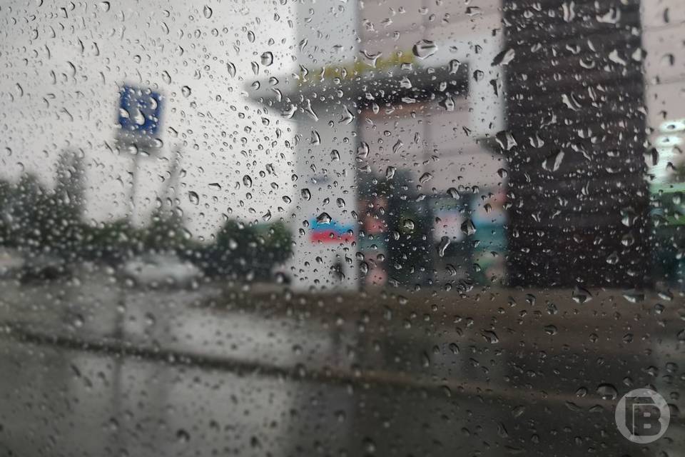 В Волгограде похолодает до плюс 5