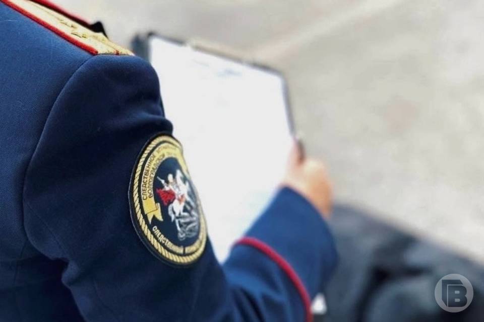 Бастрыкин поручил проверить угрозы бывшего супруга в Волгограде