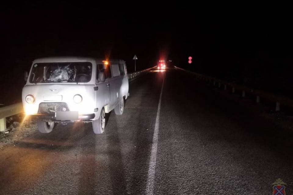 В Волгоградской области под колесами "буханки" погиб человек