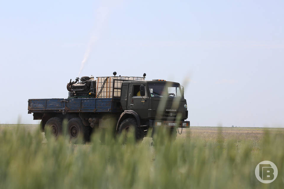 В Волгоградской области пройдет отбор в военные вузы МО РФ