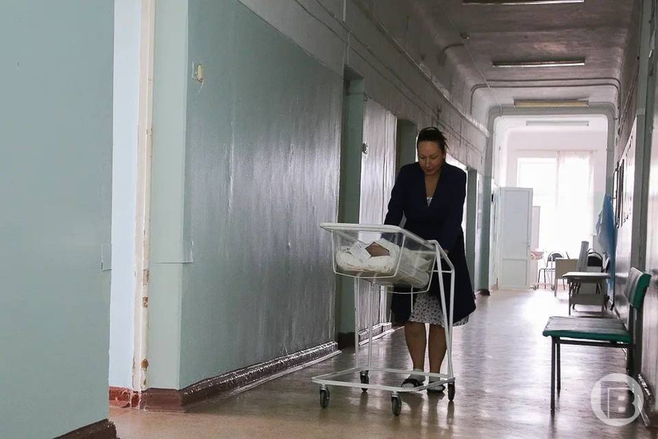 В Волгограде ищут «тиковые» гены: как защитить ребенка до первого вздоха