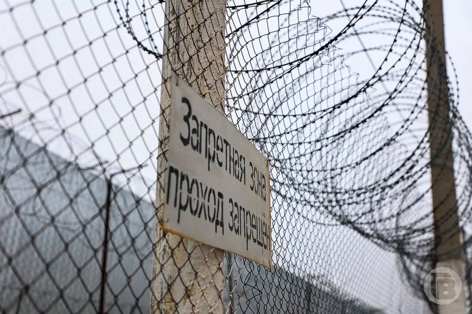 Волгоградец сбежал из колонии, накачался наркотиками и свалился с высоты