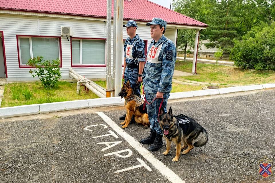 В Волгограде начались соревнования кинологов и их служебных собак