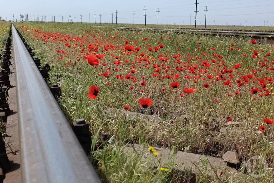 В Волгограде опаздывают поезда из-за смертельного ДТП с фурой в Казахстане
