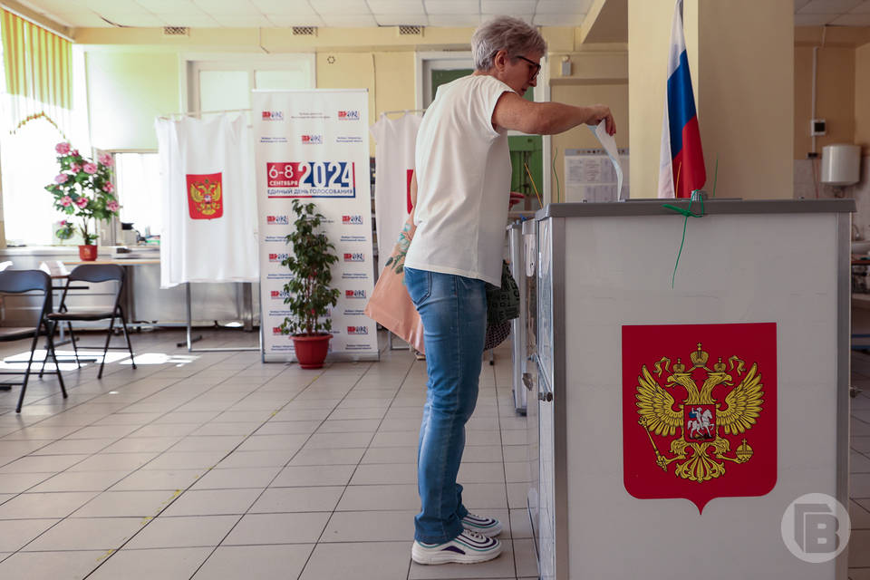 В Волгоградской области огласили даты ближайших выборов