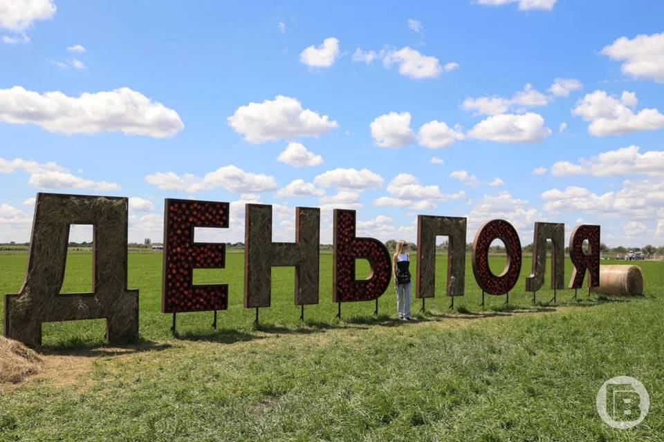 В Волгоградской области продолжается Всероссийский День поля-2025