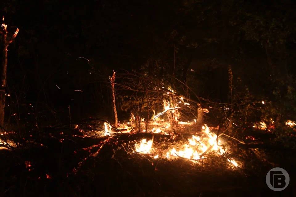 В Волгограде потушили большой пожар