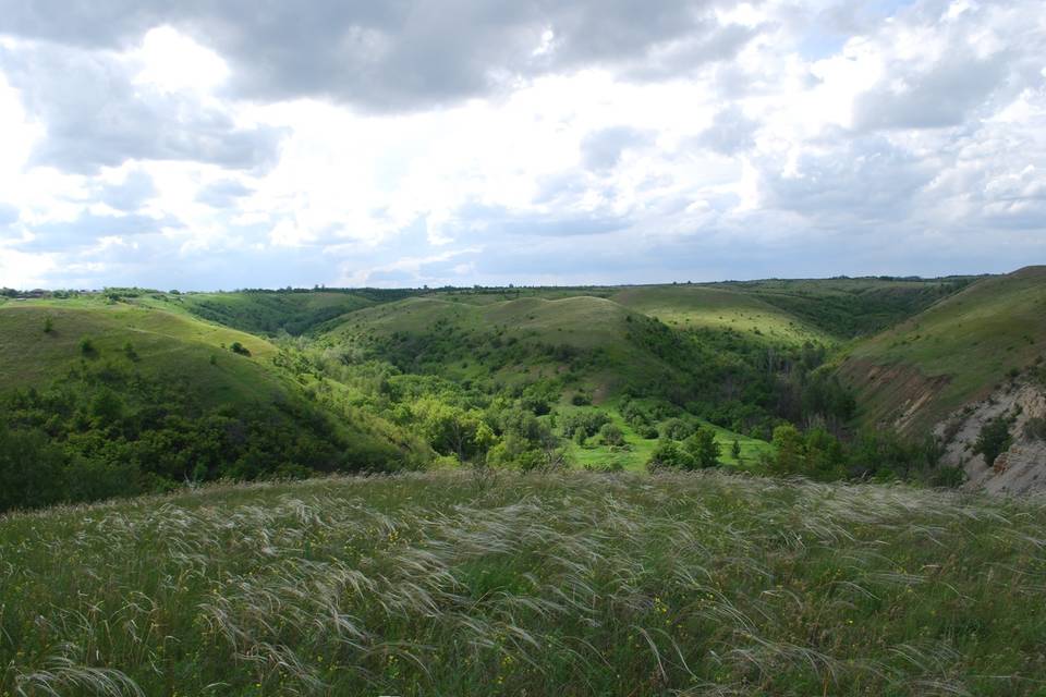 Природный парк приглашает волгоградцев на бесплатную экскурсию
