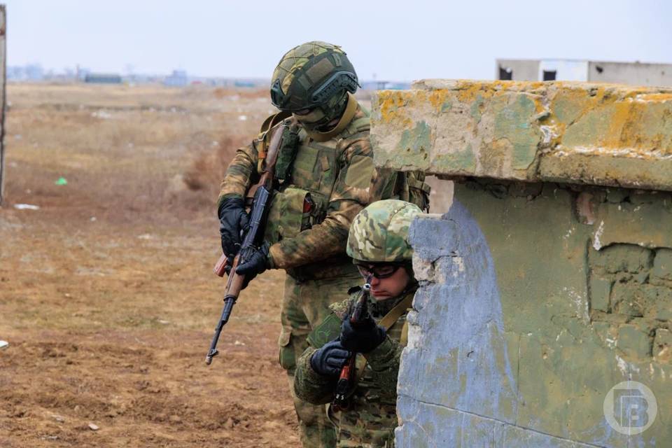 В Волгоградской области передали орден Мужества вдове погибшего бойца СВО