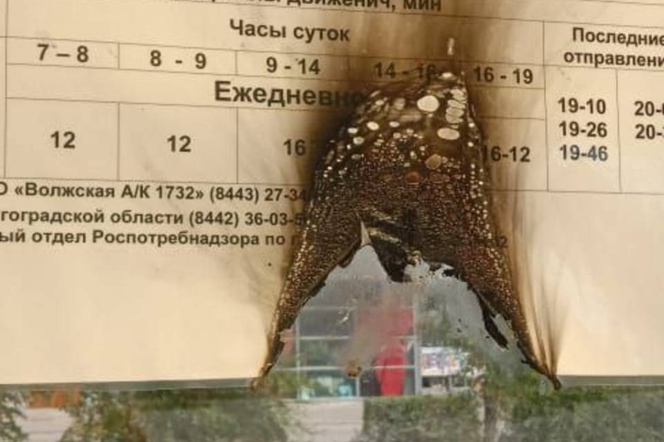 В Волжском ищут вандалов, разрушающих остановки