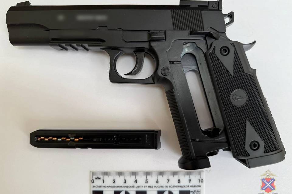 В Волгограде задержали мужчину за стрельбу в собаку