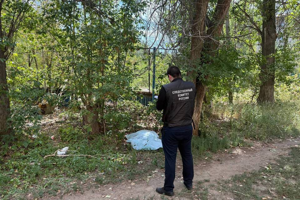 В Волгограде задержали подозреваемого в убийстве женщины из-за ссоры во дворе