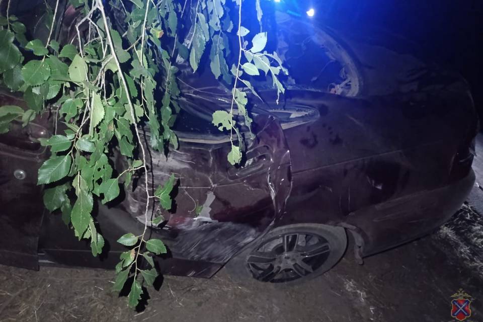 ДТП в Волжском: водитель без прав врезался в дерево, есть погибший