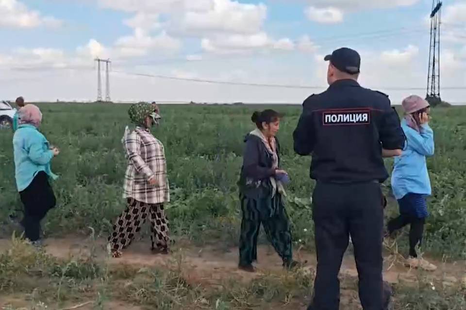 В Волгоградской области в полицию доставили 16 иностранцев без документов