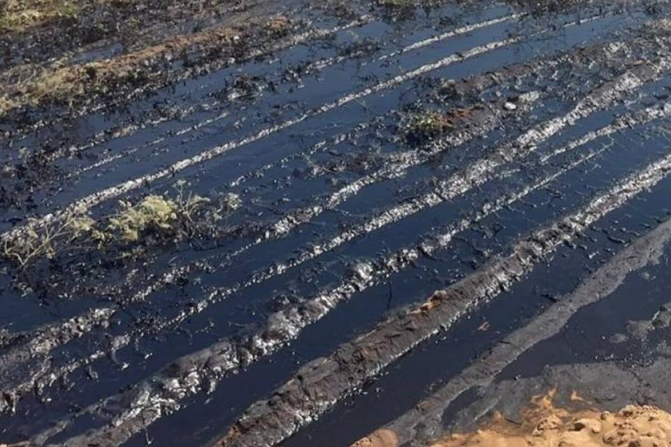 В Волжском разлив нефти обернулся экологической бедой