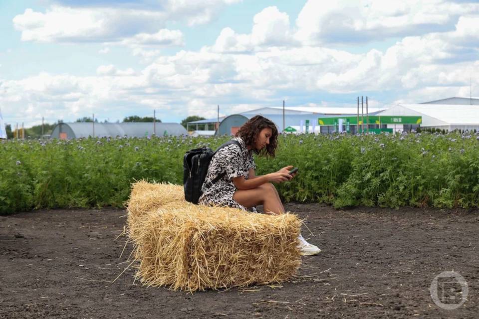 Волгоградцы смогут принять участие в агродиктанте