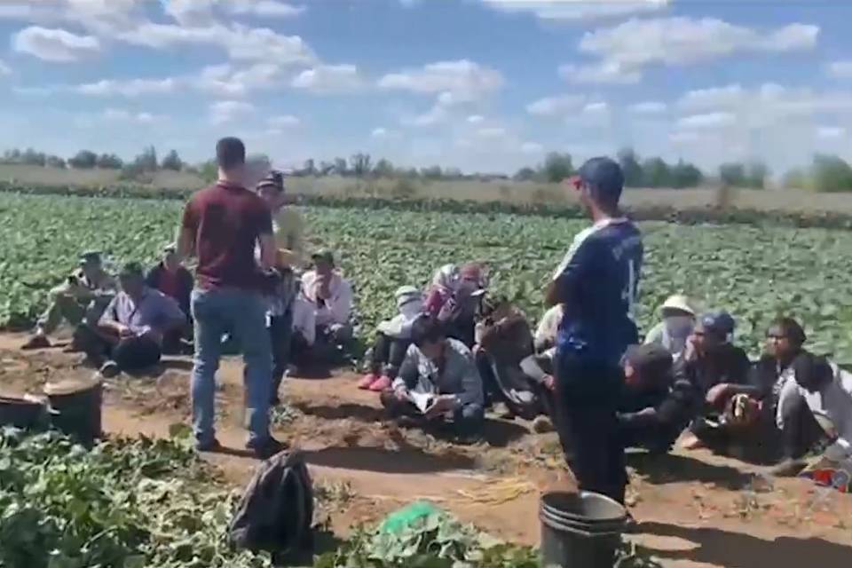 В Волгоградской области в ходе рейда задержали 39 иностранцев