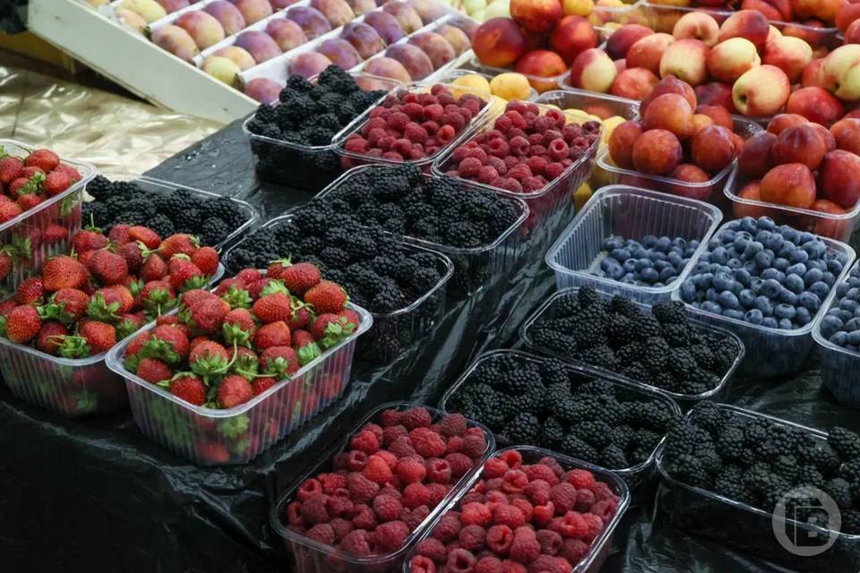 Как выбрать вкусную ежевику, рассказали волгоградцам