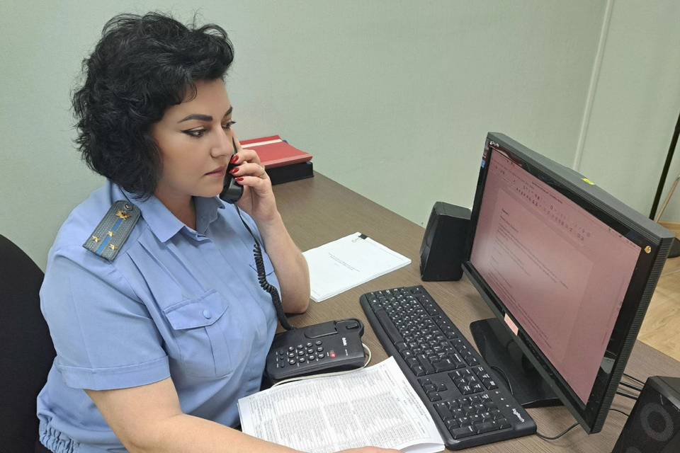 Как дать отпор коллекторам, расскажут волгоградцам приставы