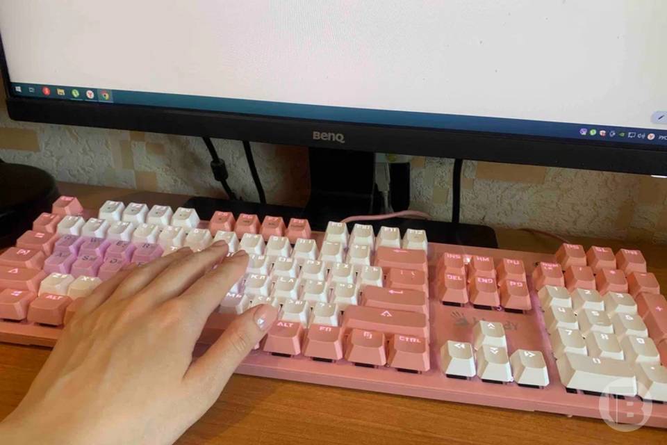 Волгоградцы чаще стали искать удаленную работу
