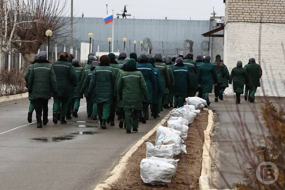 Молодого осужденного накажут за дезорганизацию работы ИК в Волжском
