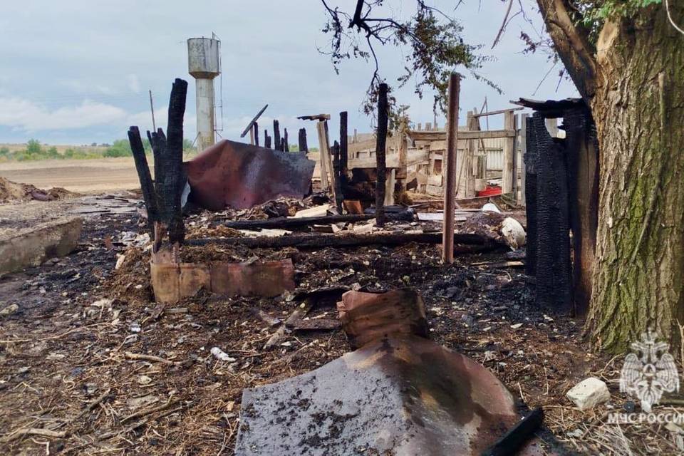 Под Волгоградом в пожаре погибли два теленка