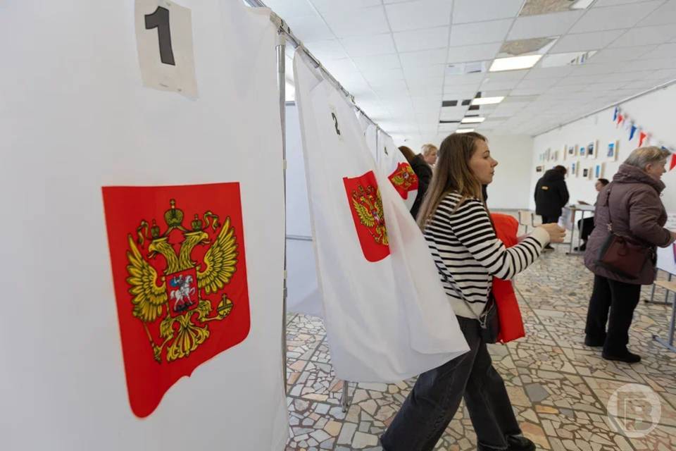 Явка на выборах Волгоградской области составляет 20%