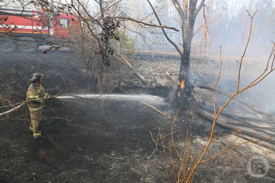 На юге Волгограда тушат большой пожар