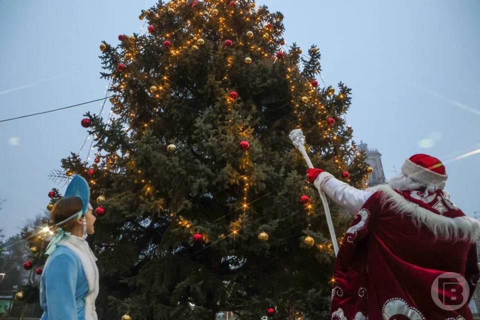 Новогодние каникулы волгоградцев продлятся 12 дней