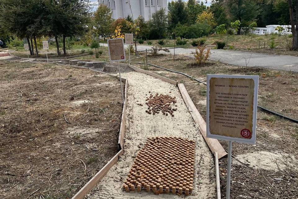 В Волгоградской области презентовали «Тропу здоровья»