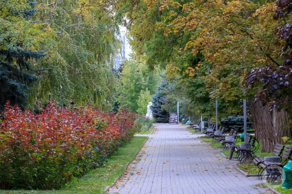 В ботаническом саду Волгограда созрели плоды, похожие на киви