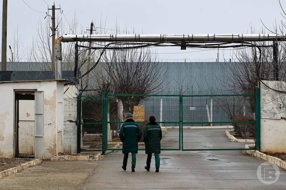 В Волгоградской области осужденный дезорганизовал работу колонии