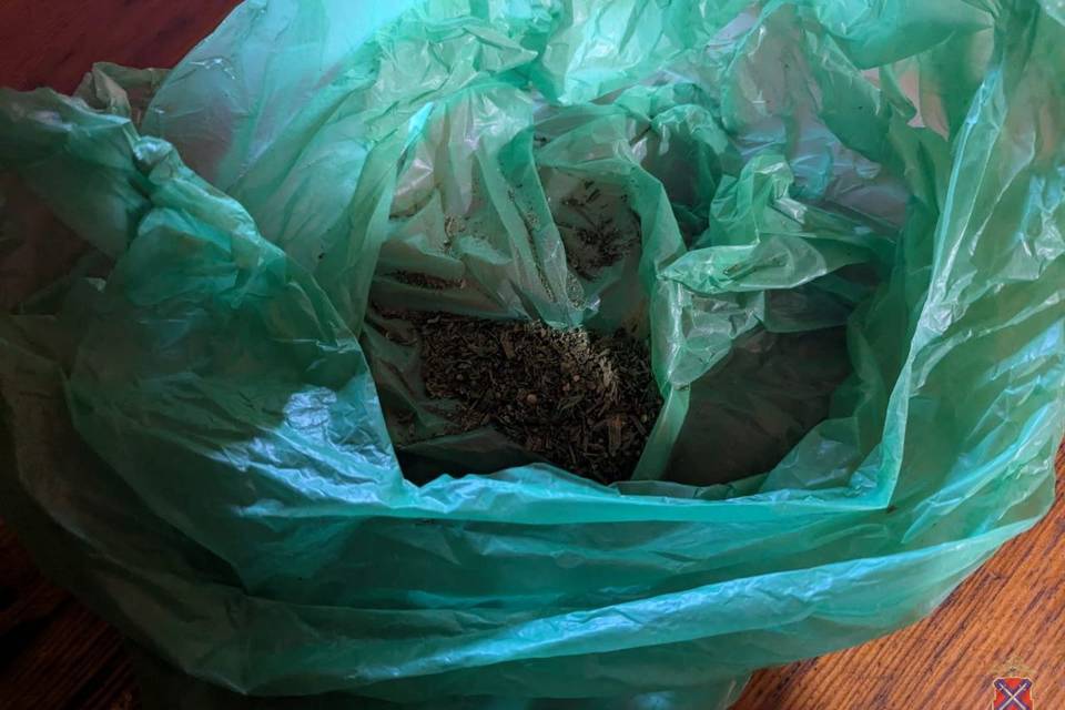 В Михайловке поймали мигранта, хранившего марихуану